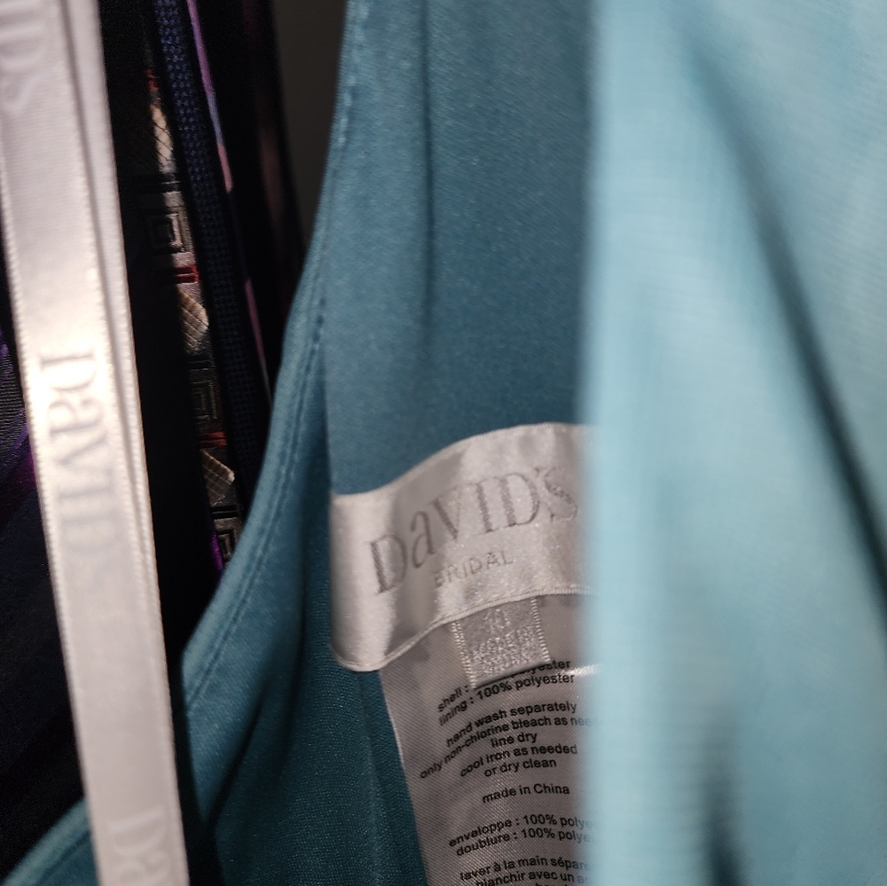 David's Bridal Bridesmaid dress